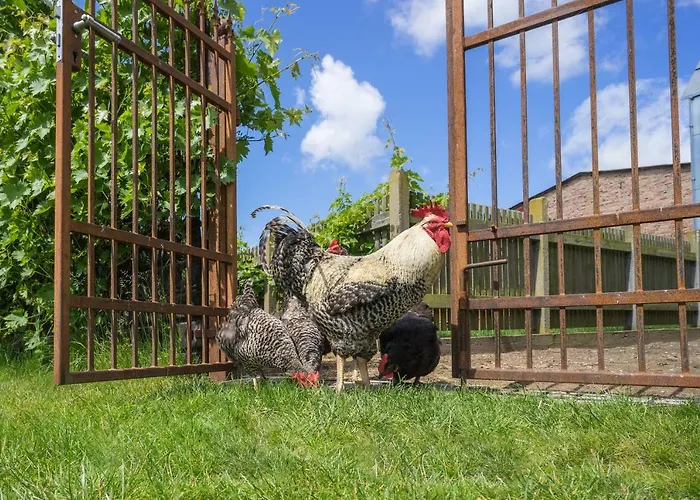 Hof Lewin Фермерский дом